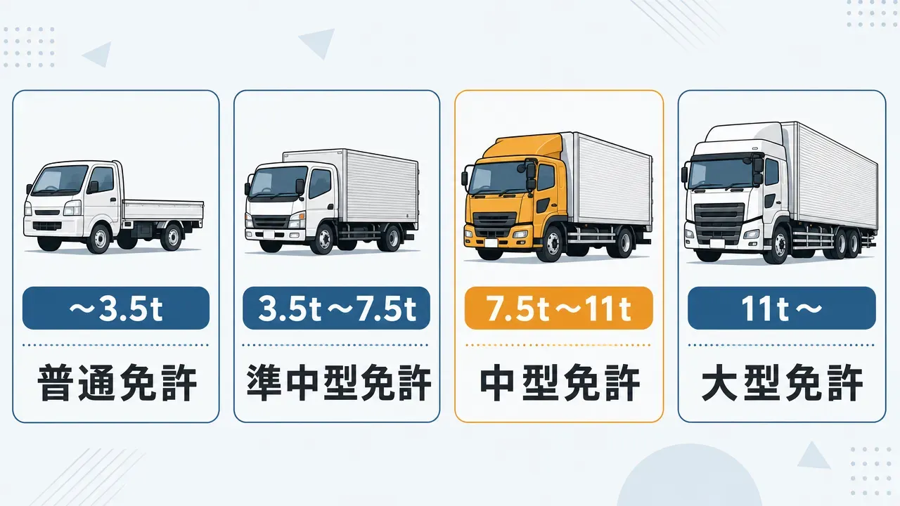 普通免許・準中型免許・中型免許・大型免許の4区分を、トラックの大きさと車両総重量のバーで比較した図。中型免許はアンバー色で強調